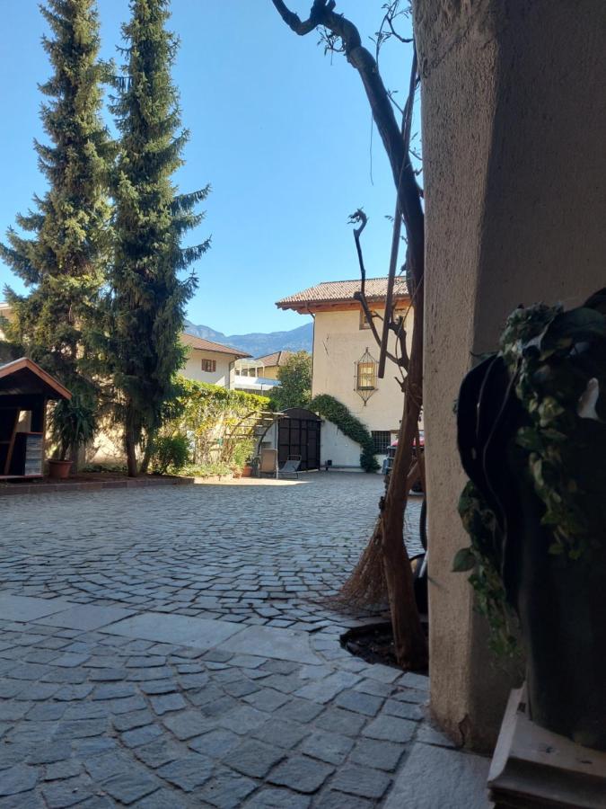 Ansitz Von Wohlgemuth Lejlighed Salorno Eksteriør billede