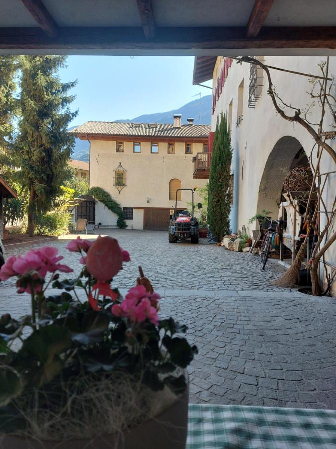 Ansitz Von Wohlgemuth Lejlighed Salorno Eksteriør billede